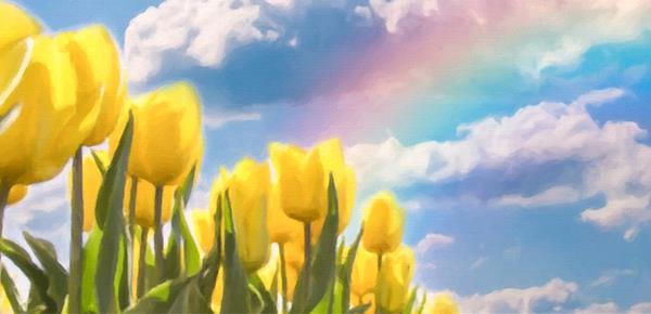 内心缺乏什么就爱炫耀什么