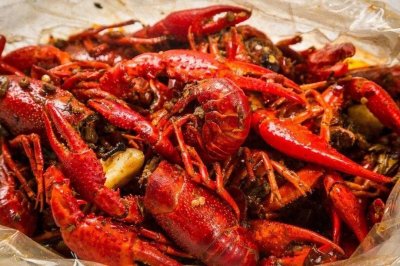 ​春日美食大放送，让你的味蕾欢欣跳跃