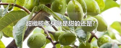 ​甜橄榄本身就是甜的还是?