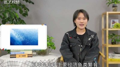 ​休渔期是几月到几月