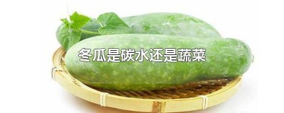 ​冬瓜是碳水还是蔬菜