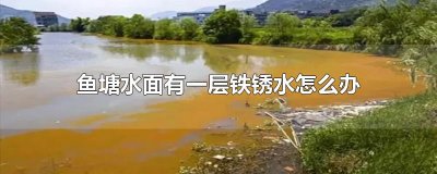 ​鱼塘水面有一层铁锈水怎么办
