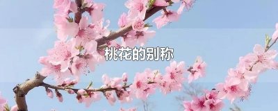 ​桃花的别称