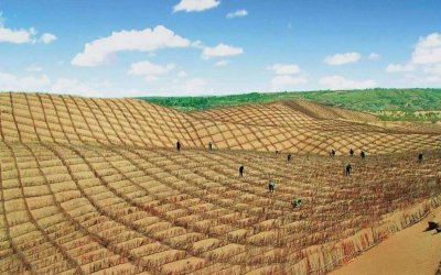 ​还有谁不服气？中国把万亩沙漠变成良田，美日直呼：不可思议