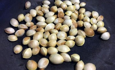 ​白果不能和什么一起吃 不能和鳗鱼、阿司匹林同食对人有害