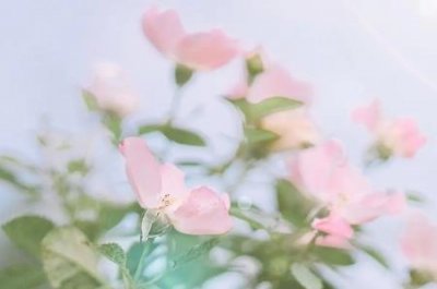 ​知识科普：为什么开车不晕坐车晕晕车的时候该怎么办？