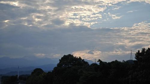 新场古镇攻略一日游(新场古镇攻略 饮食)-第2张图片-