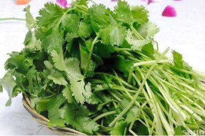 ​什么人不能吃香菜呢 吃香菜有什么注意的呢