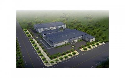 ​双鱼座需要关注哪些茶杯犬品种？