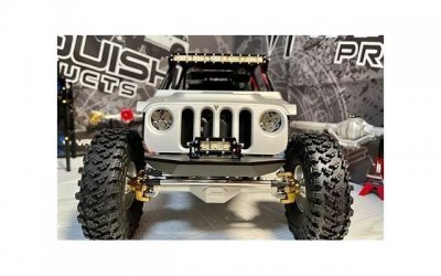 ​灵芝加什么中药泡酒好呢