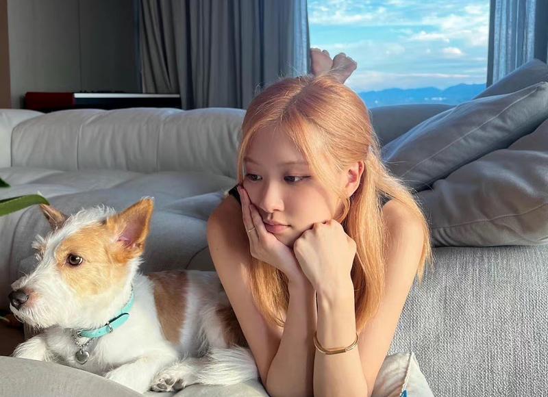 屋顶通风器，安装薄型屋顶通风器应注意哪些问题