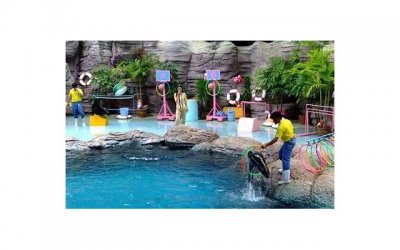 ​想要脱单，最起码先从做到这些开始